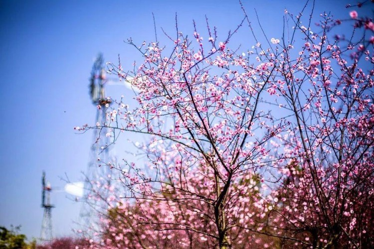 一年美出12种味道这就是我大金华！今年的旅行计划小布都给你列好了