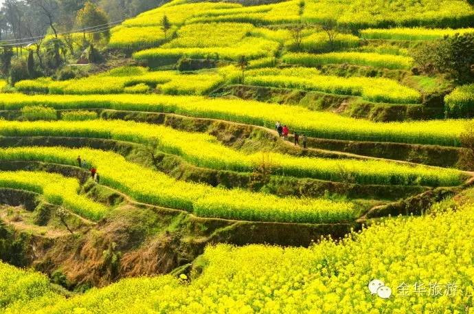 一年美出12种味道这就是我大金华！今年的旅行计划小布都给你列好了